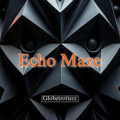 Echo Maze