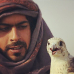 طيًر من طيور المعازيب