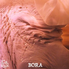 ♥ 26 ~ BORA ~ A WIND WHISPERS