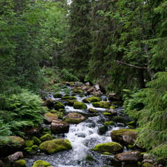 The Lord God Didst Make Us All