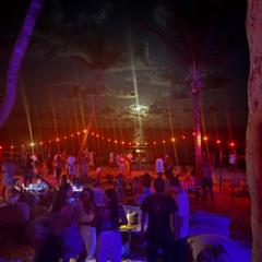 In Search of Paradise