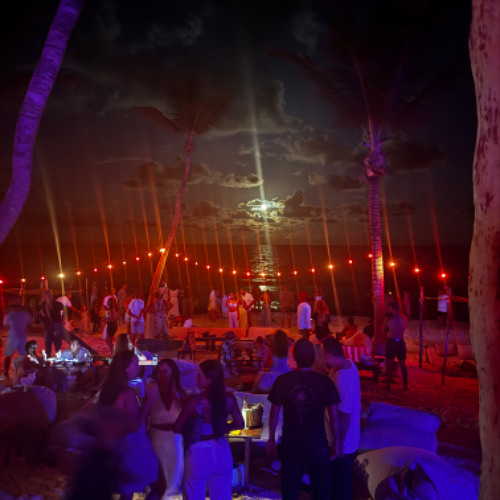 In Search of Paradise