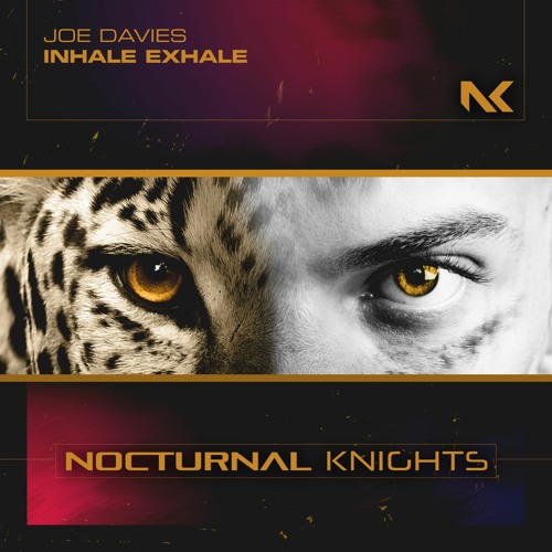 Joe Davies - Inhale Exhale TEASER