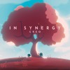 Download Video: In Synergy