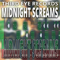 Midnight Screams V13