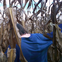 Head To Toe (ft. daywatch)