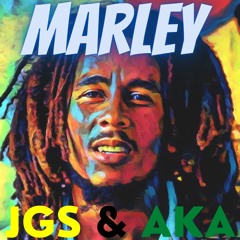 JGS & Aka - Marley (Sample)