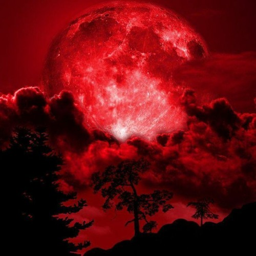 O C T O B E R - 2 0 2 2