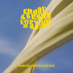Rhode & Brown Everything In Motion w/Indra Dunis Kornel Kovacs Remix