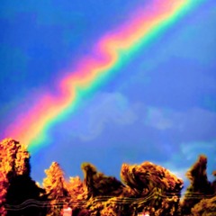 don't forget to look up