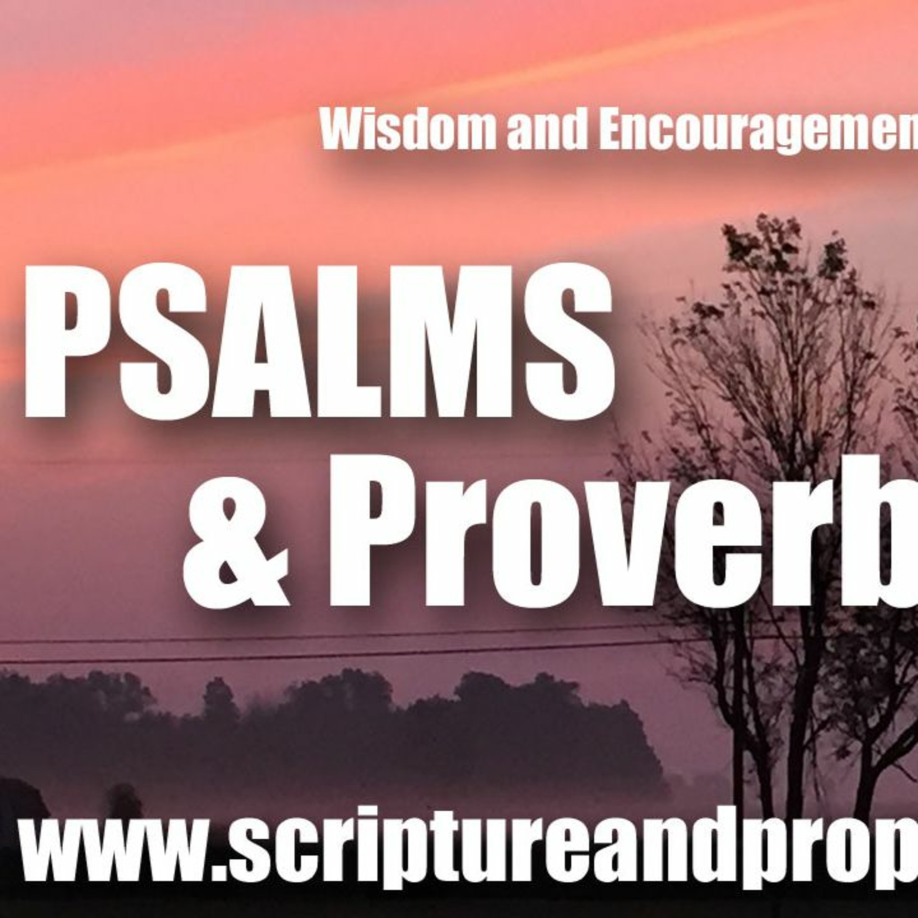 Wisdom From Psalm 6, Proverbs 11, & Wisdom 5: Return, O LORD, Deliver My Soul