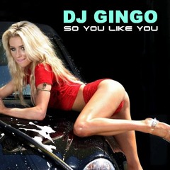 DJ GINGO - SO YOU LIKE YOU X