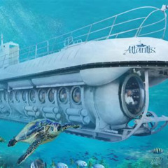 Review Special Price Barbados Harrisons Cave And Atlantis Submarine Dive Tour