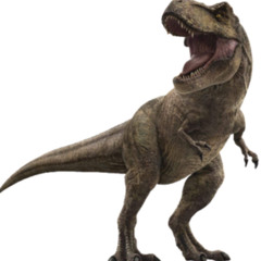 Kontrakt - Dinosaur Time