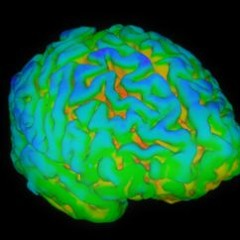 Nothing In My Mind (demo)