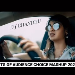 AUDIENCE CHOICE MASHUP DJ CHANDHU MRPT