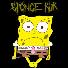 SPONGE KUR