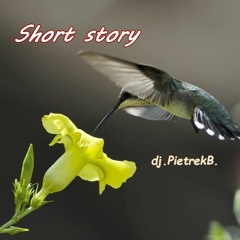 Short Story
