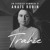 Artwork for TRAHIE