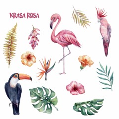 The Soulcast 028 with Krasa Rosa