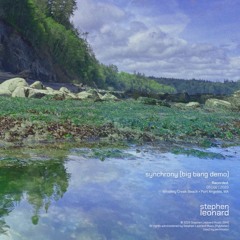 synchrony (big bang demo)