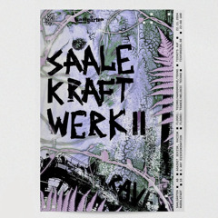 Saalekraftwerk II LUZI