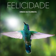 37 - Ame a sua natureza (Ame a Ti Mesmo) - Flávio Passos & Sérgio Negri.mp3