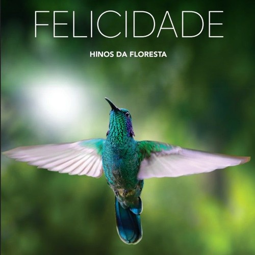 37 - Ame a sua natureza (Ame a Ti Mesmo) - Flávio Passos & Sérgio Negri.mp3