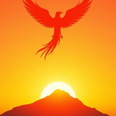 Desarrollo a Escala Humana Tema 9 Libertad Camino Propio