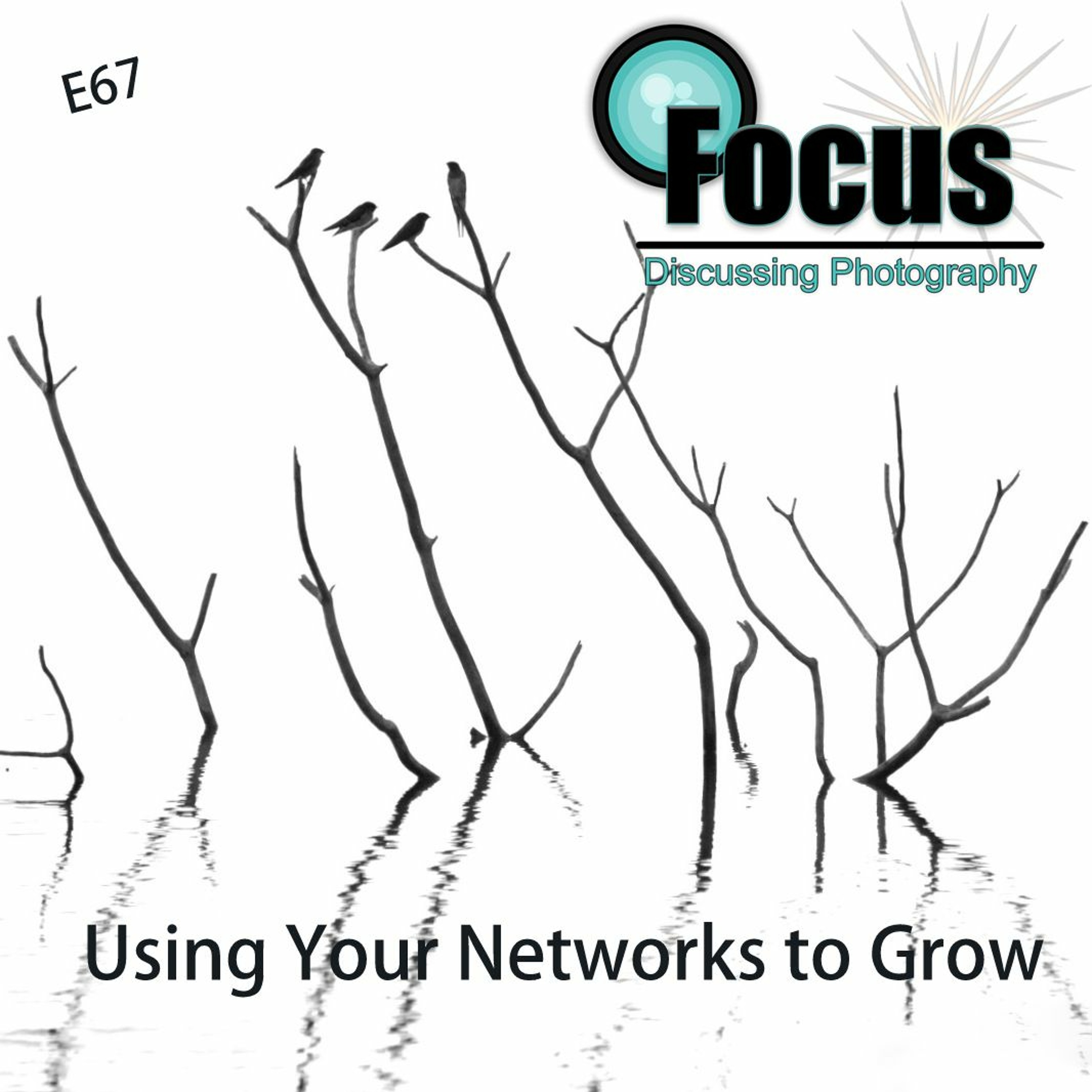 Focus: Photography Podcast with Stephen & Terri, using your networks to grow.