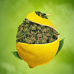Lemon Kissed Haze (VocalMix) prod. DJS & ARTHOOLIGANS