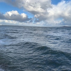 DJ Taper  -  Stability