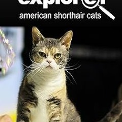 =! American Shorthair Cat - Kids Explore: Animal books nonfiction - books ages 5-6 BY: KIDS EXP