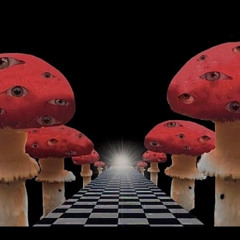 Sprayed to The Ground (remix)