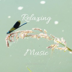 Relaxing Music (feat. Arek Borzęcki)