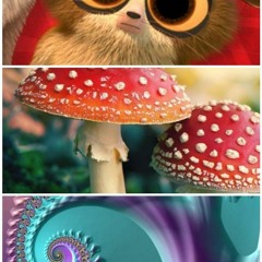 Metamorphik Groove - Take us to your leader_!.mp3