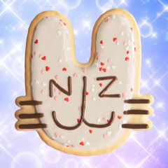NJZ - Pit Stop (Official INST)