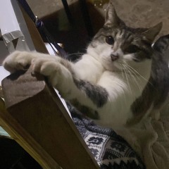 Nihablar
