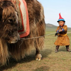 хүүхэлдэйтэй секс