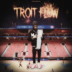 troit flow