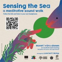 Sensing The Sea