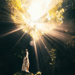 Wi-Fi in the Wild Zone