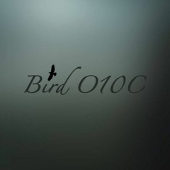 Bird O10C