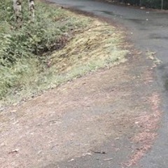 Broken Enough (live Demo)