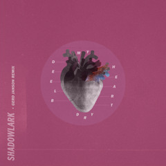 Bleed My Heart Dry (Gerd Janson Italo Remix)