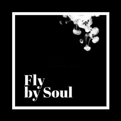 FLY BY SOUL W DAN WATTERS