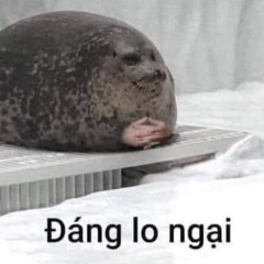 ANH VI YEU PHONGMAX