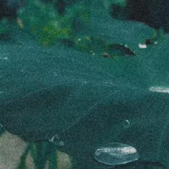 I won't cry (prod. Haythem)