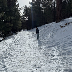 harvest moon (REUPLOAD)