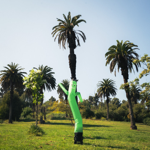 tell you straight (Badger & Jamezy's version)